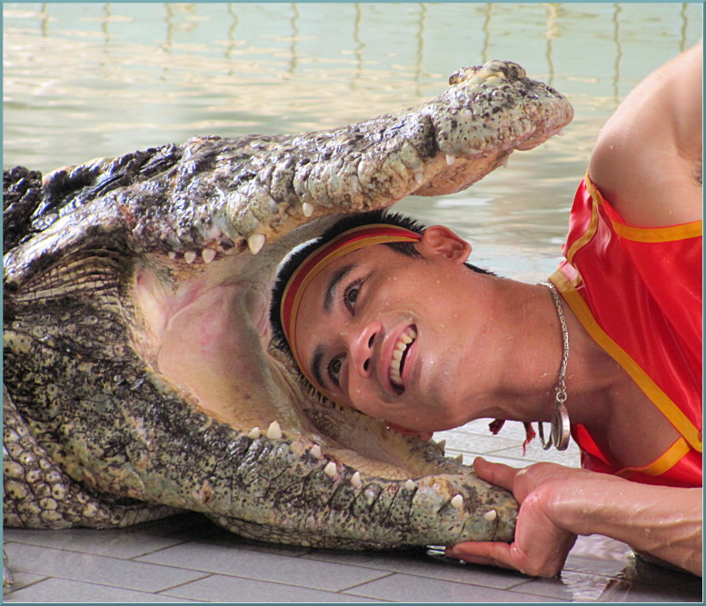 шоу крокодилов Тайланд