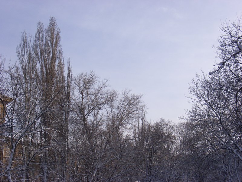 непредсказуемая одесская зима