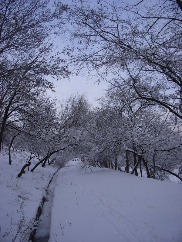 непредсказуемая одесская зима
