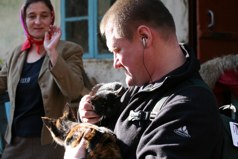 Константин Сорокин с кошками