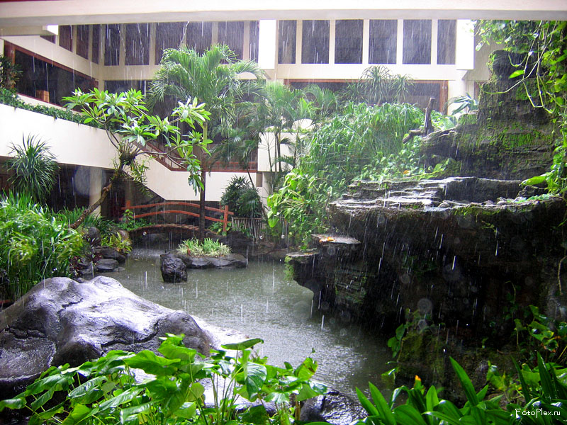 Дождь на Бали