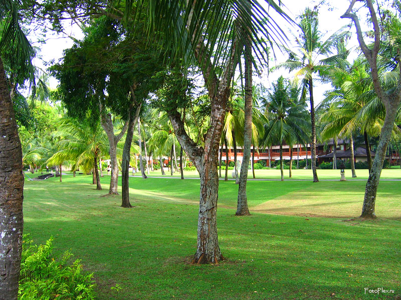 Зеленый Парк на Бали