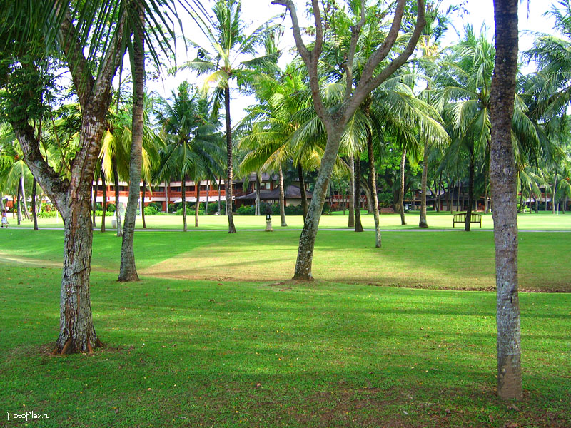 Зеленый Парк на Бали