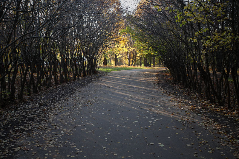 Осень в Парке