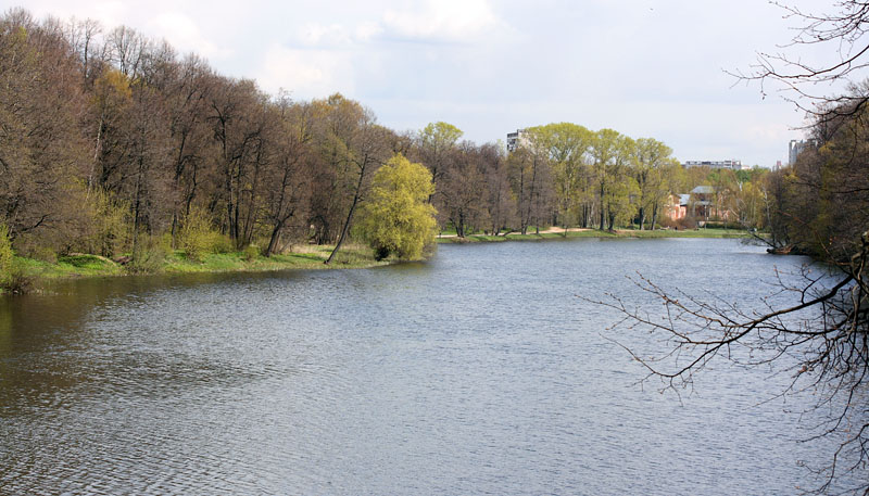 Озеро в парке Кузьминки