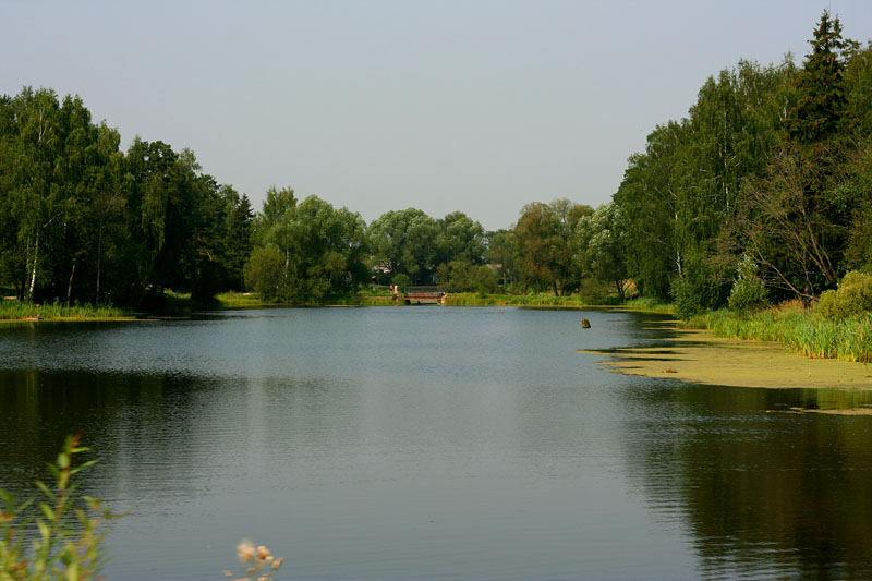Озеро в Летнем Отдыхе