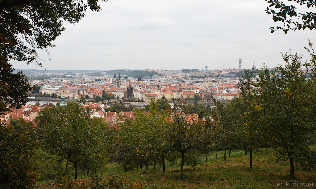 Вид на Прагу с Петршинского холма