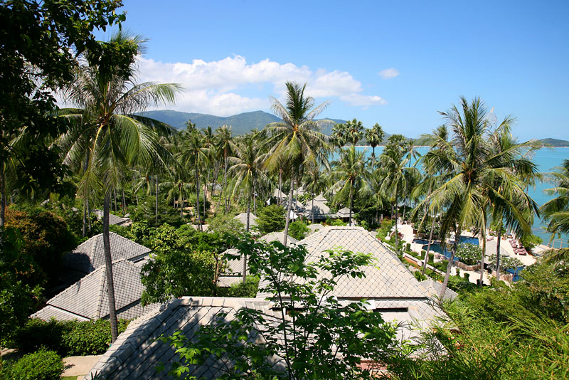Вид на пальмы на Маенам и Fair House Villas & Spa