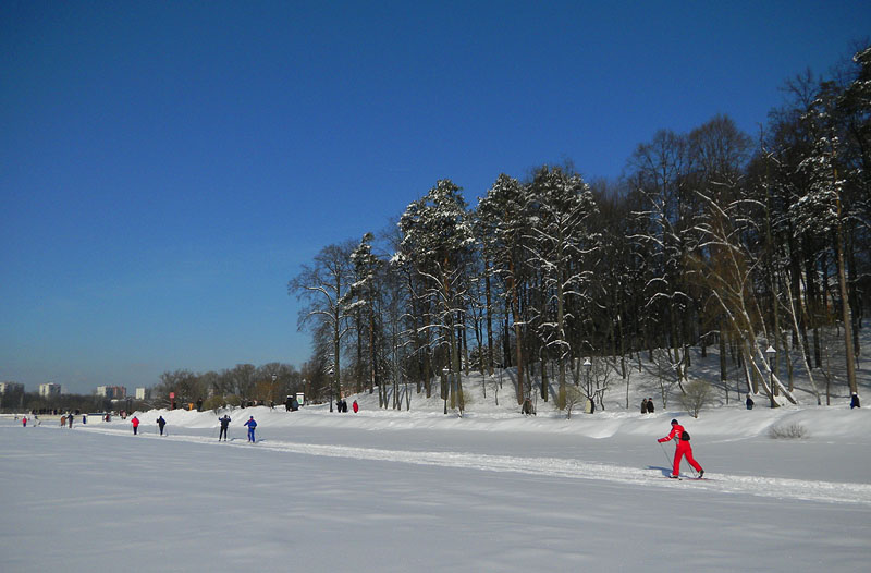 Лыжники в Царицыно