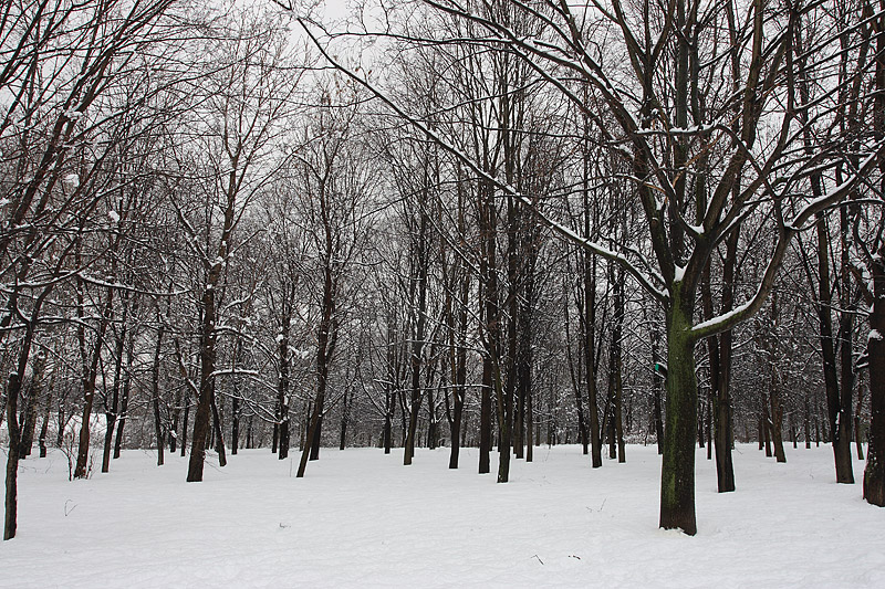Зимний парк