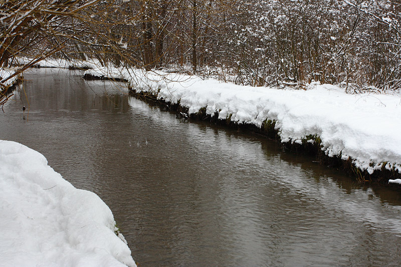 Речка в парке зимой