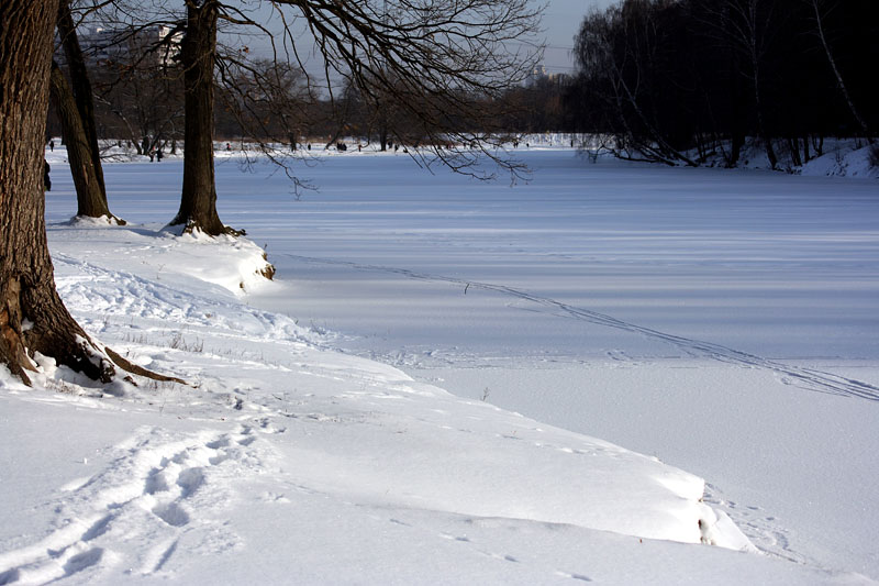 Озеро в Парке Кузьминки зимой