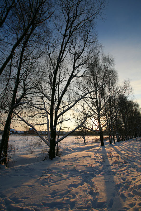 Зима, Январь 2010