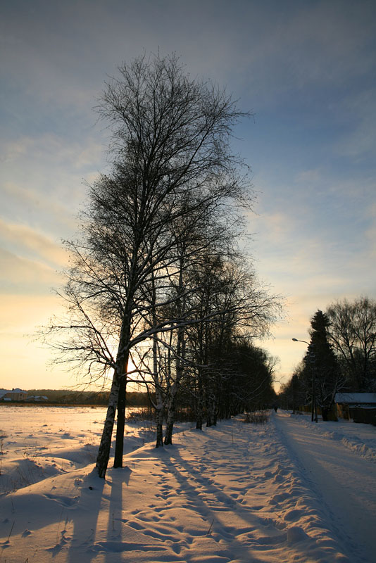 Зима, Январь 2010