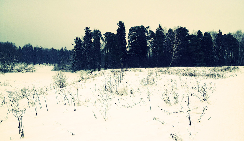 Зима в Захарово