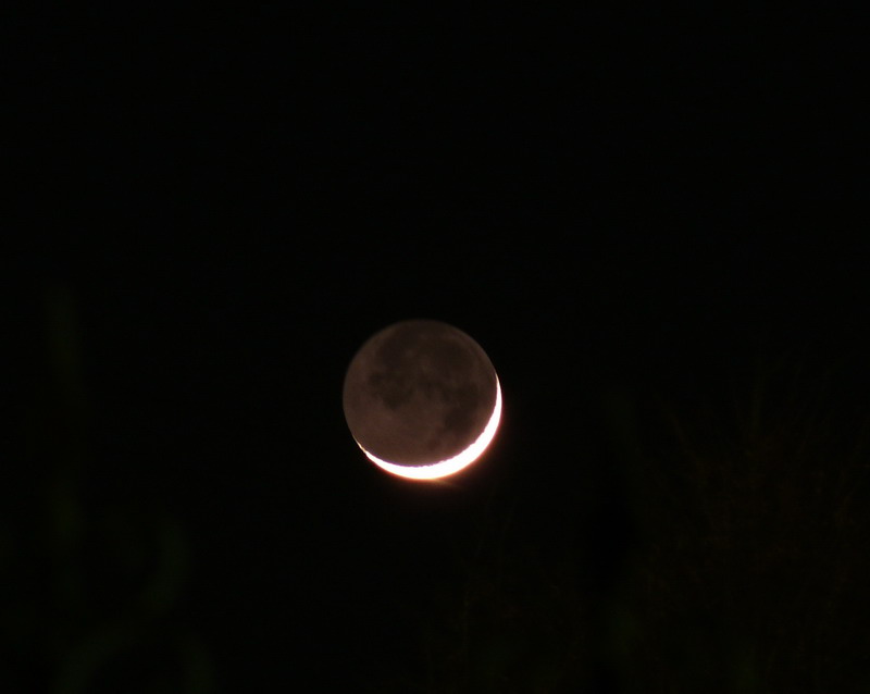 Луна, которую сфотографировал только что