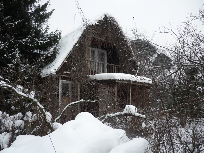 Зимний вид дачного домика