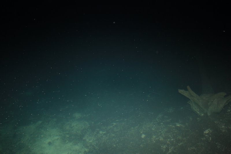 ночью под водой гл 4м
