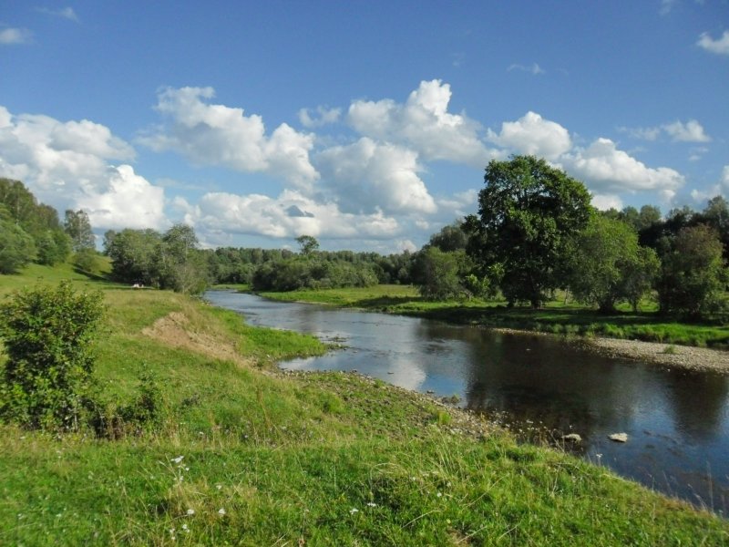 река Держа в нижнем течении, после Сновидова, Зубцовский район, Тверская область