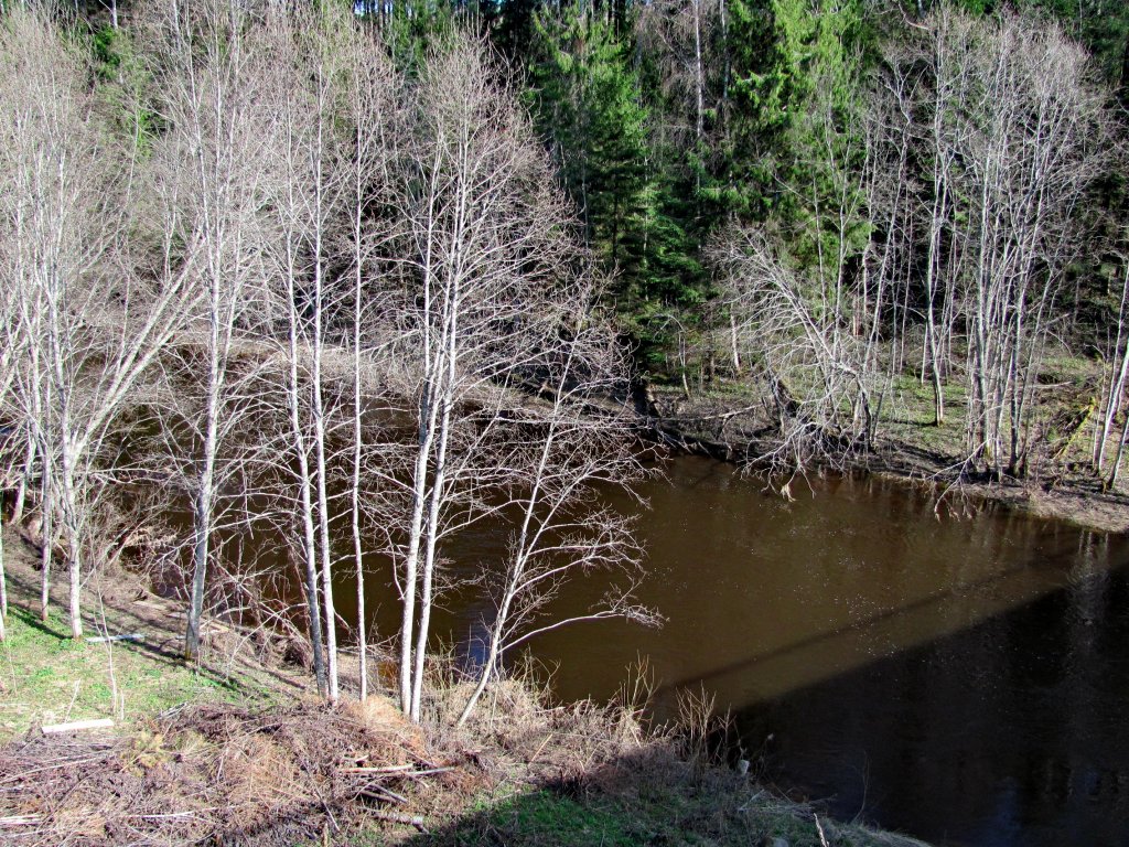 река Малая Коша