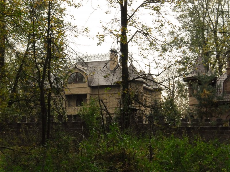 Сказочный дом художника Шилова