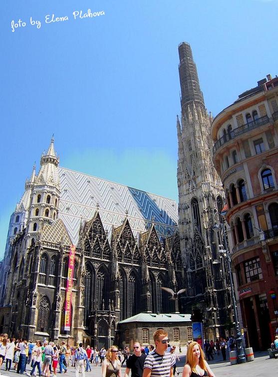 собор в Вене