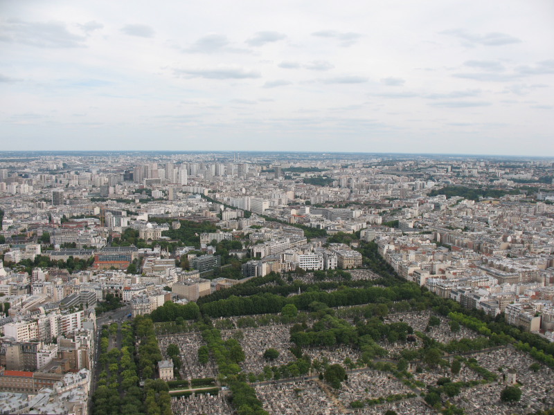Париж с высоты птичьего полета