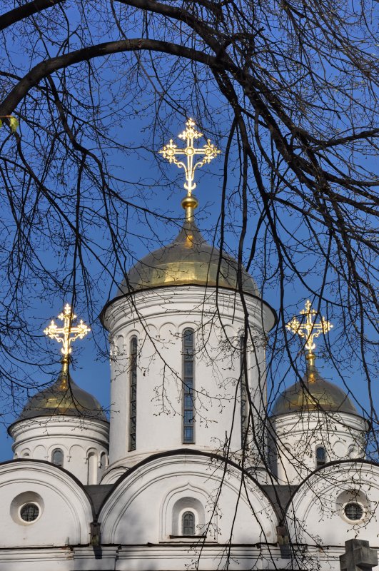 Купола Спасо-Преображенского собора