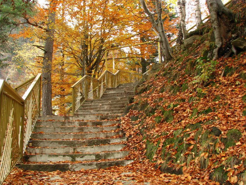 Лестница в Прикарпатскую осень