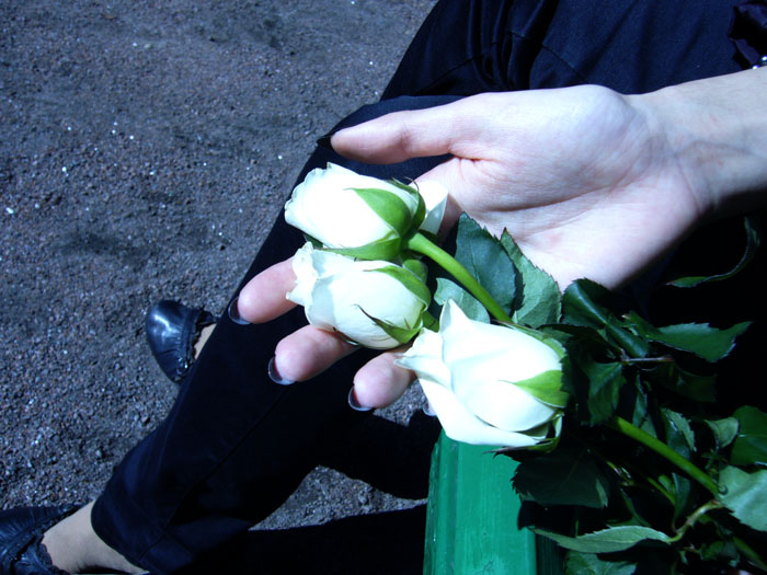 Я и белые розы :)