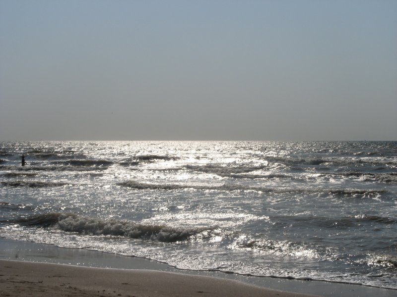 море одесса 2007