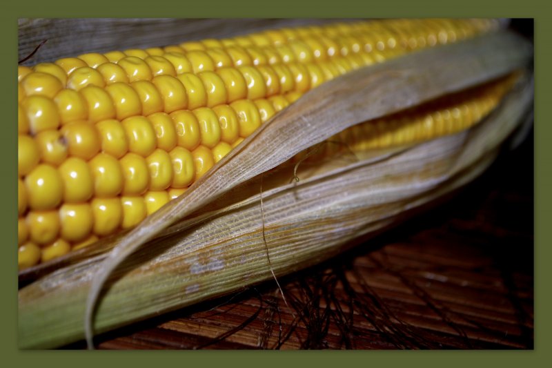 кукуруза 2