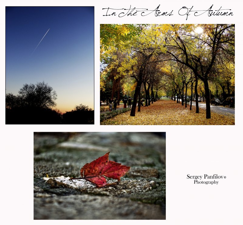 In The Arms Of Autumn Cover