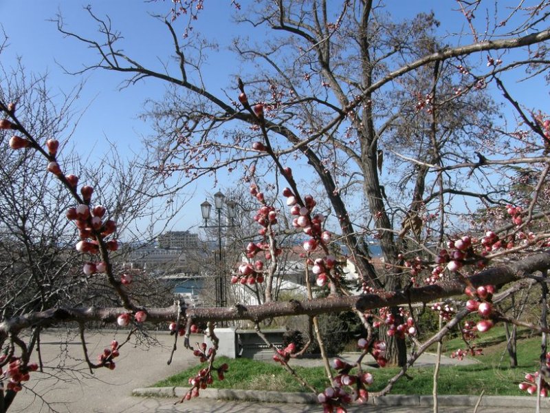 Весна в Севастополе