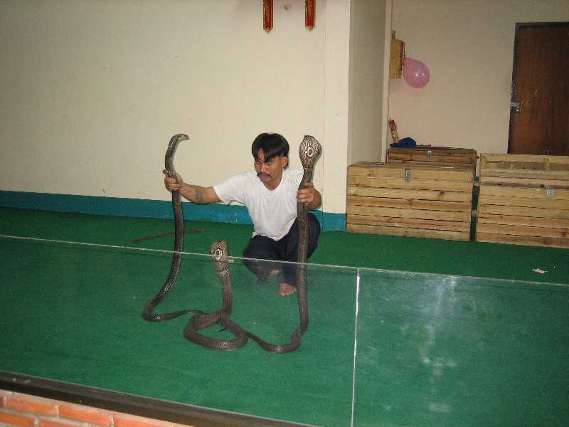 Укротитель змей