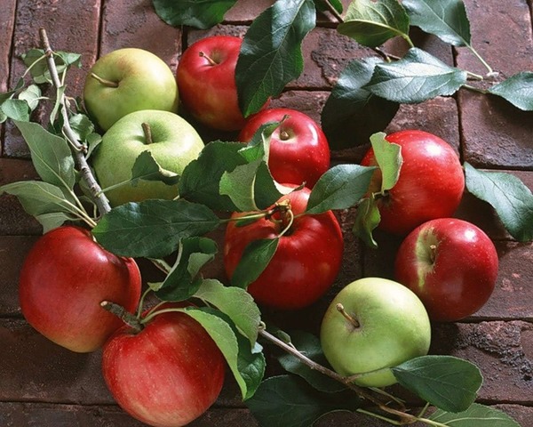 яблоки красные и зеленые