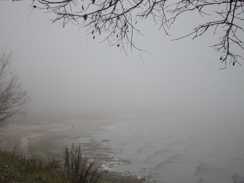 Море в тумане