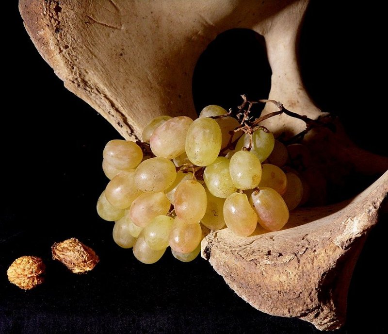 Виноград с косточками