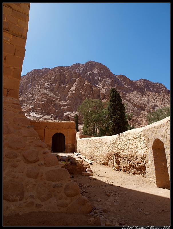 Sinai Desert