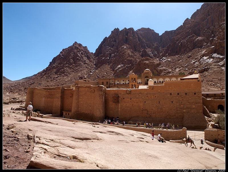 Sinai Desert