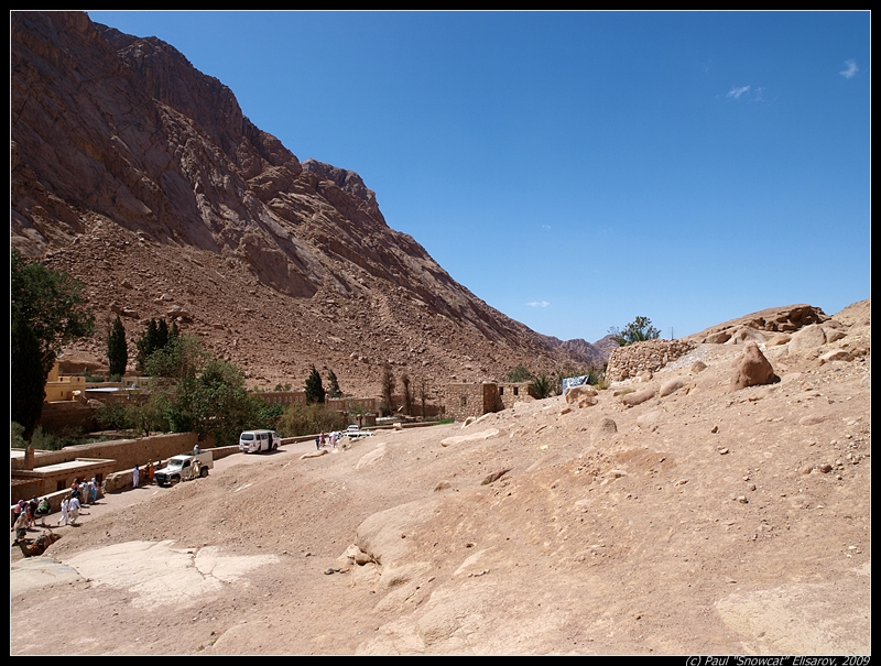 Sinai Desert