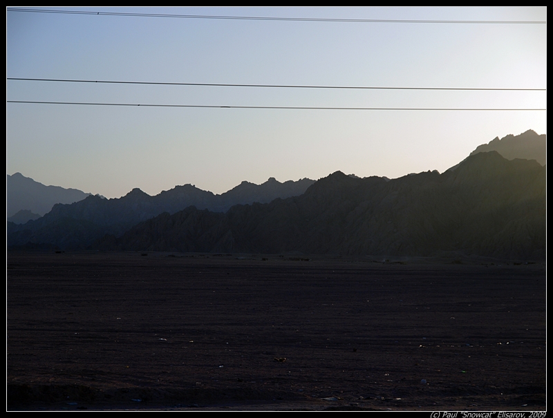 Sinai Desert