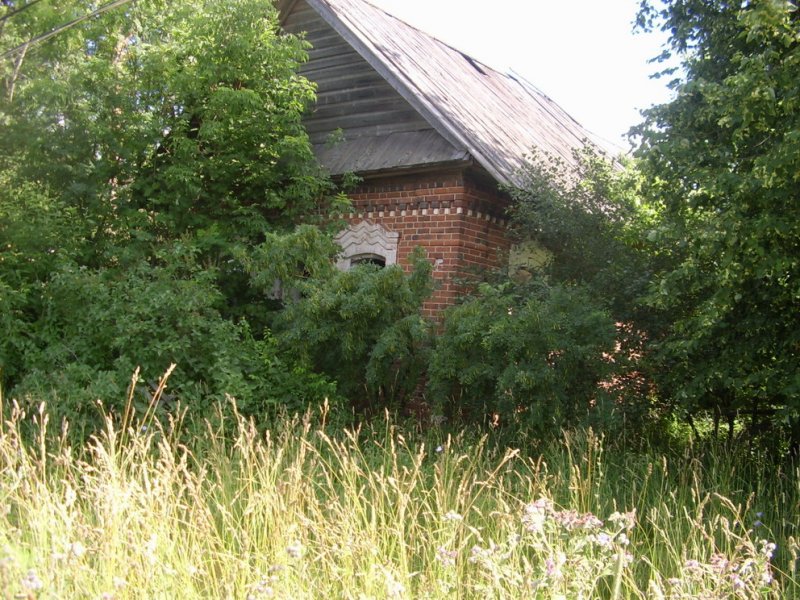 Дом в Лебедевском.