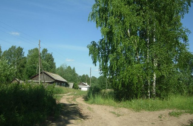Фото форумчанина Виктора. Уржум, дорога в Лебедевск.