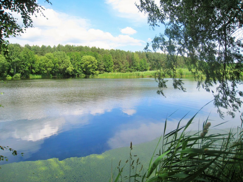 Брестская область, река Мухавец