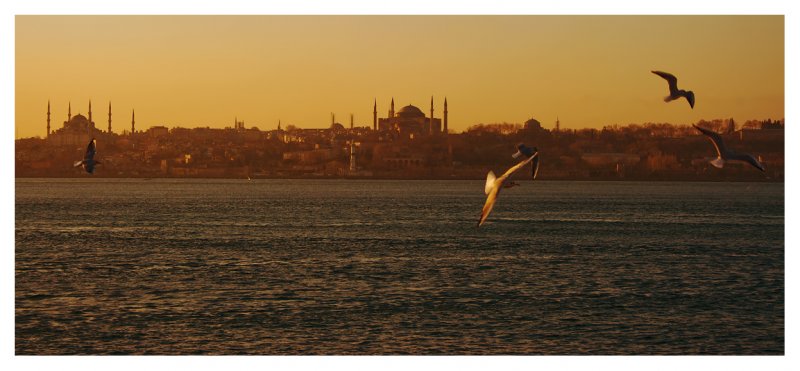 А, мысли как чайки, к Стамбулу летят...