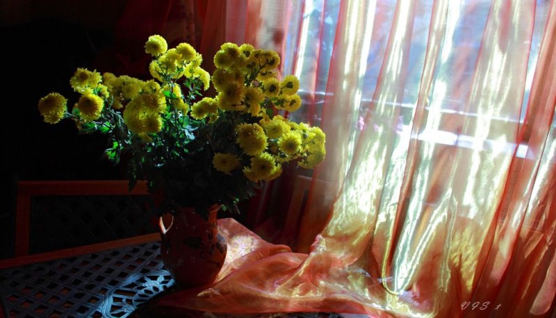 Хризантемы с запахом полынным В это утро на моём столе.