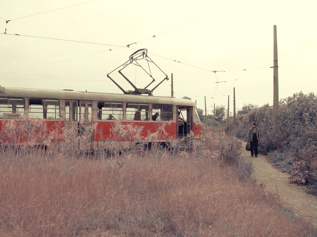 Камышовый трамвай