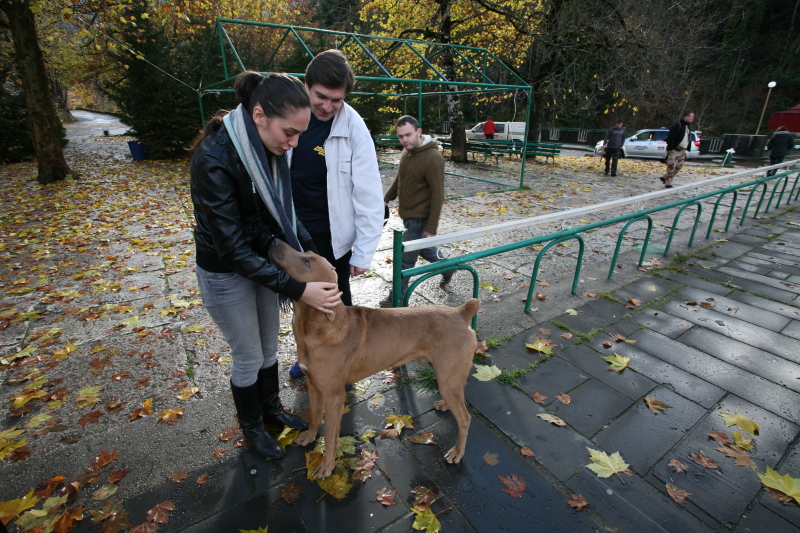 Александр Добин и собака на озере Рица