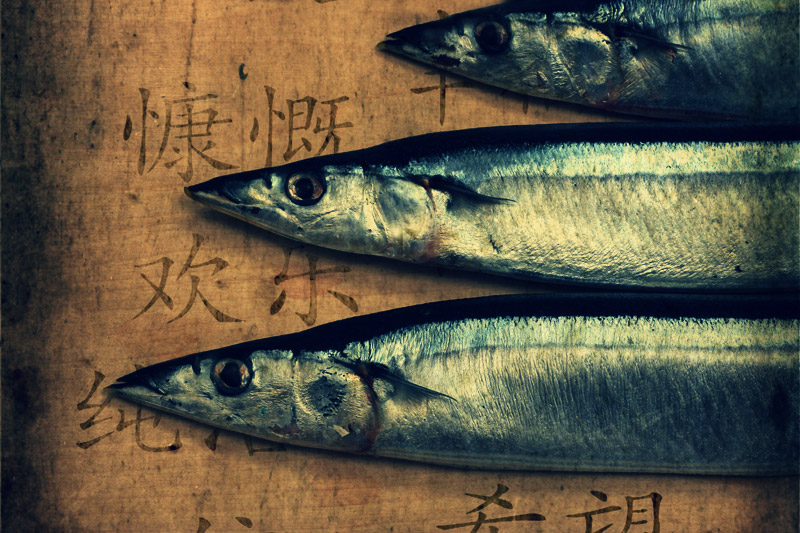 Рыбий глаз или Китайские мотивы